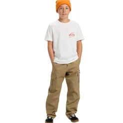 Pantalones largos Quiksilver Taxer Cargo Pant Youth