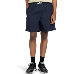 Pantalones bermudas Element Chillin Classic Wk