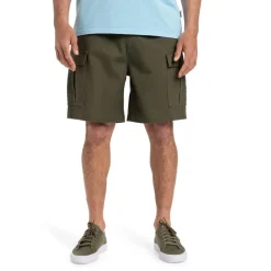 Pantalones bermudas Quiksilver Taxer Cargo Ws