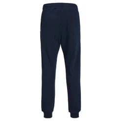 Pantalones chándal Jack & jones Jpstgordon Jjbradley Sweat Pant Gms Noos