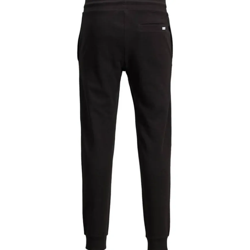 Pantalones chándal Jack & jones Jjigordon Jjshark Sweat Pants At Noos