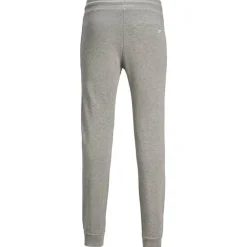 Pantalones chándal Jack & jones Jjigordon Jjshark Sweat Pants At Noos