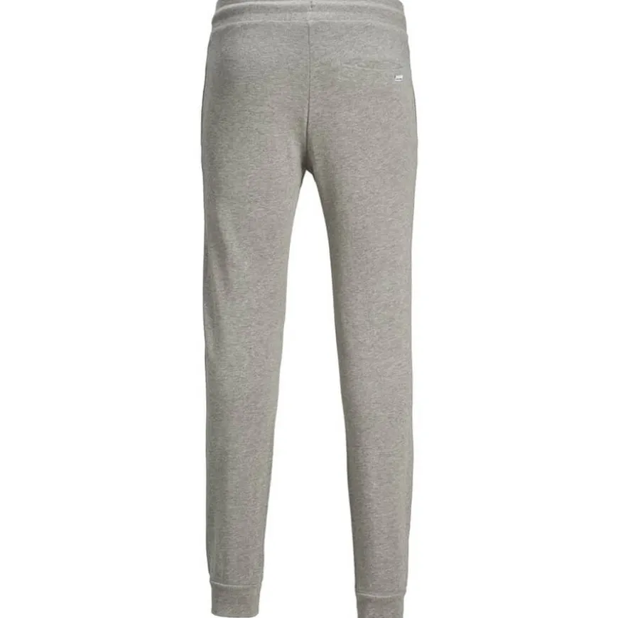 Pantalones chándal Jack & jones Jjigordon Jjshark Sweat Pants At Noos