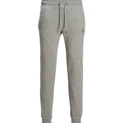 Pantalones chándal Jack & jones Jjigordon Jjshark Sweat Pants At Noos