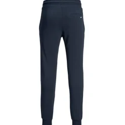 Pantalones chándal Jack & jones Jjigordon Jjshark Sweat Pants At Noos