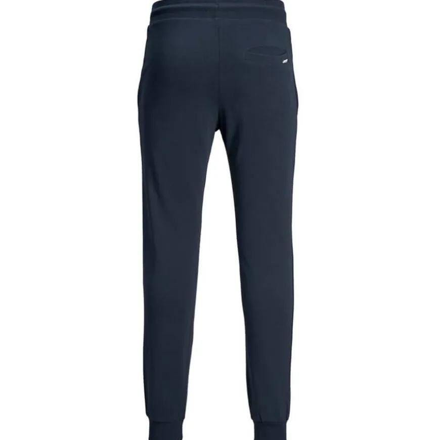 Pantalones chándal Jack & jones Jjigordon Jjshark Sweat Pants At Noos