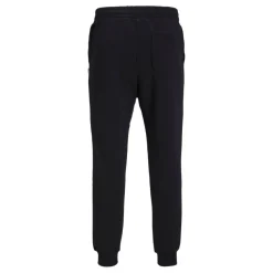 Pantalones chándal Jack & jones Jpstgordon Jjbradley Sweat Pant Gms Noos