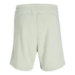 Pantalones cortos Jack & jones plus Jpstgordon Jjcloud Sweat Shorts Pls