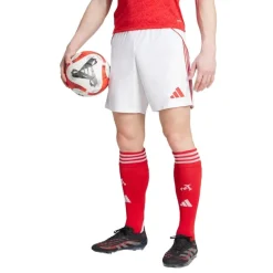 Pantalones oficiales fútbol Adidas Afc H Sho