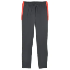 Pantalones Puma Individualliga Training Pants