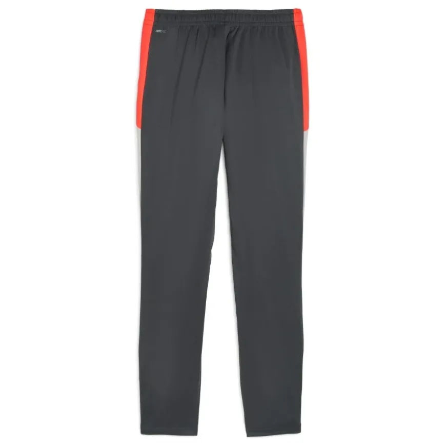 Pantalones Puma Individualliga Training Pants