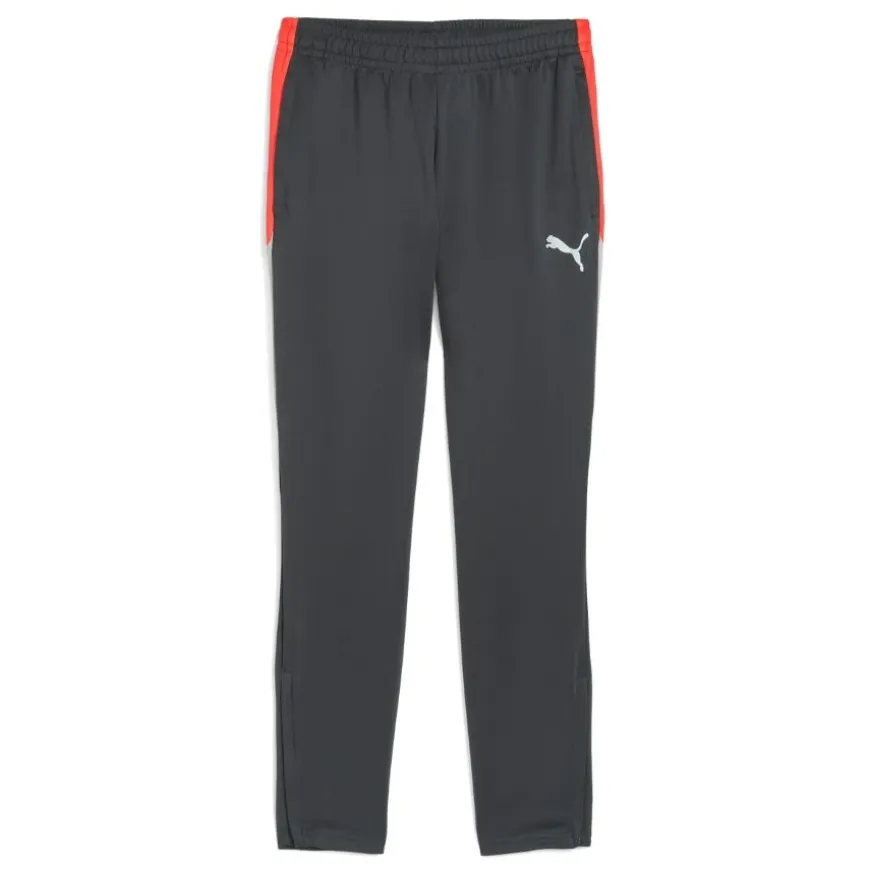 Pantalones Puma Individualliga Training Pants