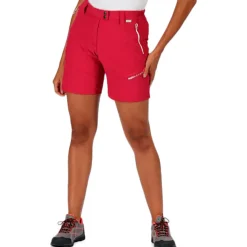 Pantalones Regatta Mountain Shorts