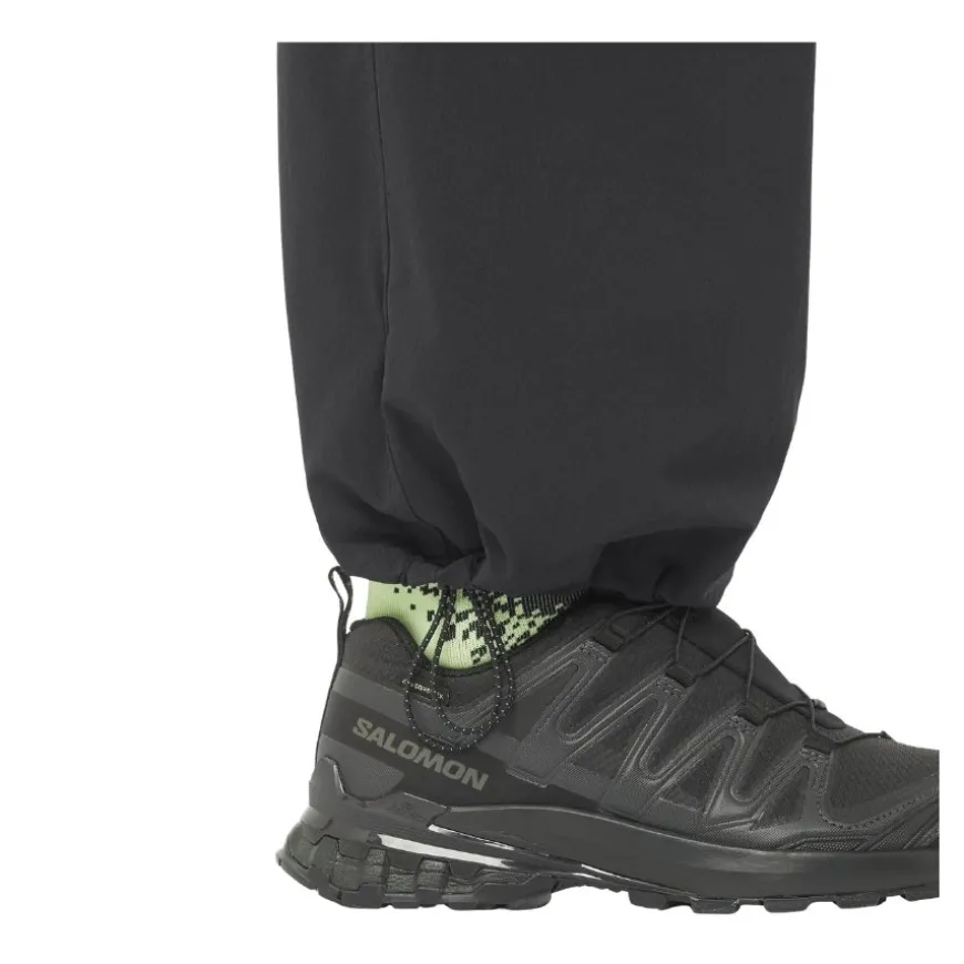 Pantalones Salomon Wayfarer Ease 2.0 Pants W