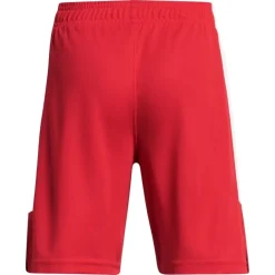 Pantalones Under armour Ua Baseline Short