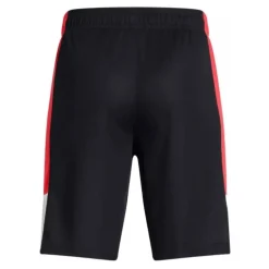 Pantalones Under armour UA Baseline Short