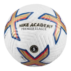 Pelotas Nike Pl Nk Academy