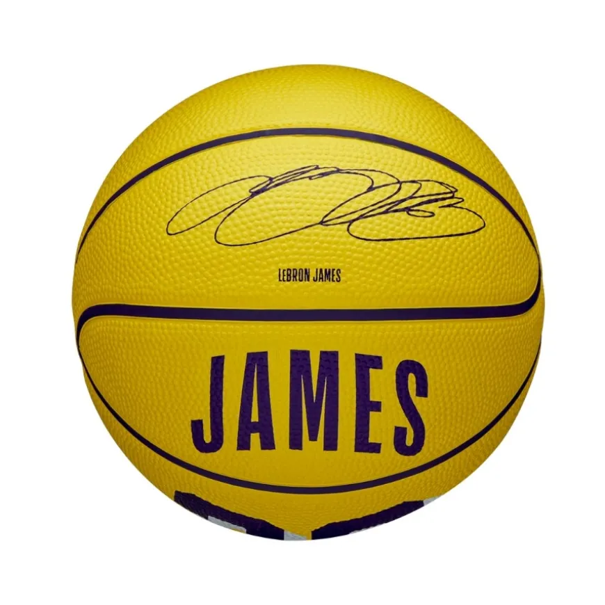 Pelotas Wilson Nba Player Icon Mini Bskt Lebron New 3