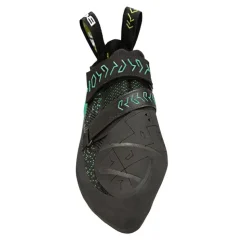 Pies de gato Boreal Indo Wms