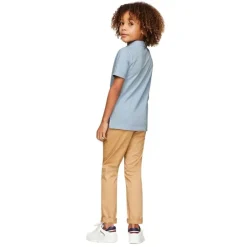 Polos Tommy hilfiger Flag Polo Ss