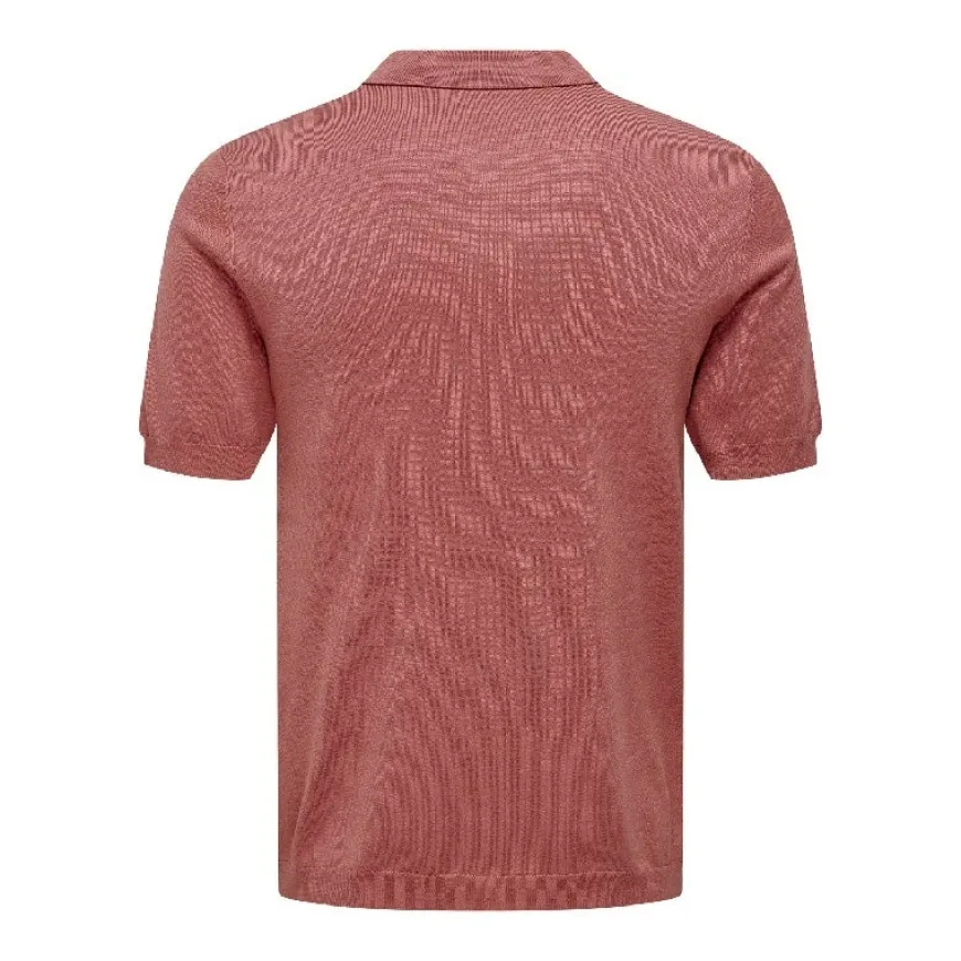 Polos Only & sons Onswyler Life Reg 14 Ss Polo Knit Noos