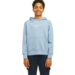 Sudadera infantil Jack & jones JORVESTERBRO SWEAT HOOD NOOS JNR