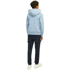 Sudadera infantil Jack & jones JORVESTERBRO SWEAT HOOD NOOS JNR