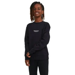 Sudadera infantil Jack & jones JORVESTERBRO SWEAT CREW NECK NOOS JNR