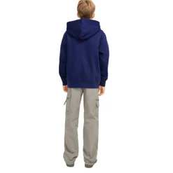 Sudadera infantil Jack & jones JORVESTERBRO SWEAT HOOD NOOS JNR