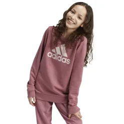 Sudaderas Adidas G Bl Swt FT