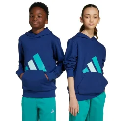 Sudaderas Adidas J Bl Ft Hd 280