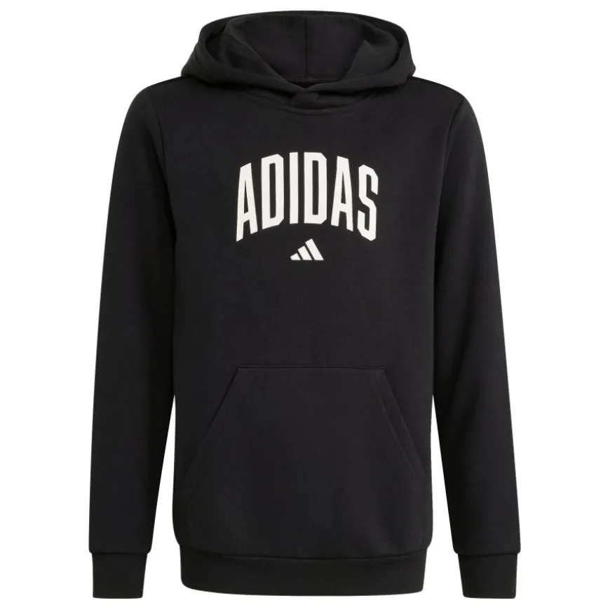 Sudaderas Adidas J Colleg Hd