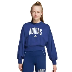 Sudaderas Adidas Jg Clgt Ft Swt