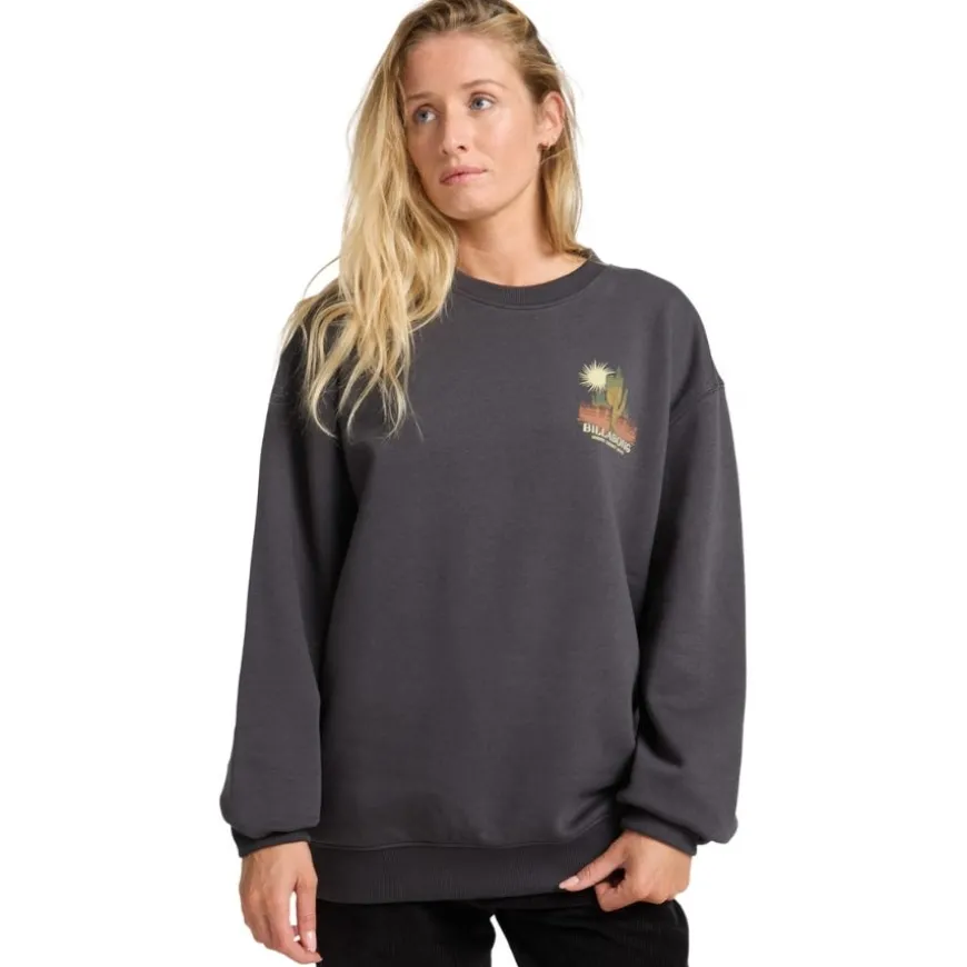 Sudaderas Billabong EBJSF00189