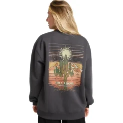 Sudaderas Billabong EBJSF00189