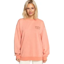Sudaderas Billabong HERITAGE SCENIC OTLR ROA