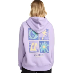 Sudaderas Billabong Island Vibes