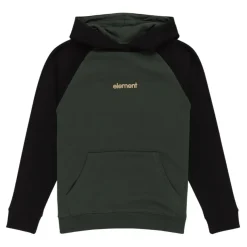 Sudaderas Element SMU Cornell Script PO Youth