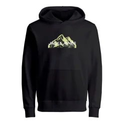 Sudaderas Jack & jones BST Jcomountain Logo Sweat Hood unb Sn Jnr