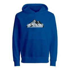 Sudaderas Jack & jones BST Jcomountain Logo Sweat Hood unb Sn Jnr