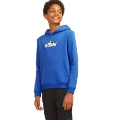 Sudaderas Jack & jones Jcomountain Logo Sweat Hood Sn Jnr