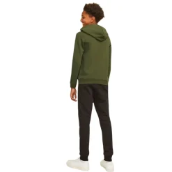 Sudaderas Jack & jones Jcomountain Logo Sweat Hood Sn Jnr