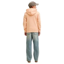 Sudaderas Jack & jones Jjelogo Sweat Hood 2 Col 25 26 Noos Jnr