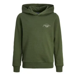 Sudaderas Jack & jones Jjferris Sweat Hood Jnr