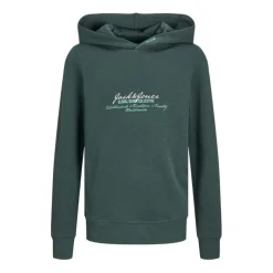 Sudaderas Jack & jones Jjgreat B2S Logo Sweat Hood Ln Jnr