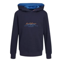 Sudaderas Jack & jones Jjgreat B2S Logo Sweat Hood Ln Jnr