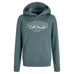 Sudaderas Jack & jones Jjmakoto Sweat Hood Jnr