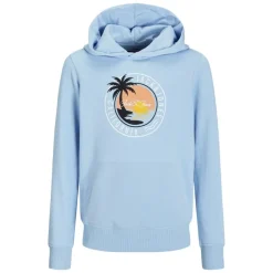 Sudaderas Jack & jones Jjpalm Sweat Hood Jnr