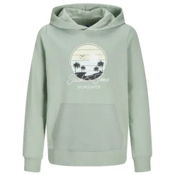 Sudaderas Jack & jones Jjpalm Sweat Hood Jnr