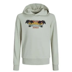 Sudaderas Jack & jones Jjsummer Vibe Sweat Hood Jnr